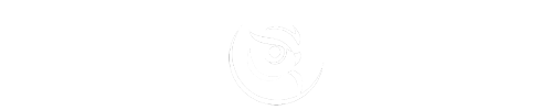 DreamVision_logo
